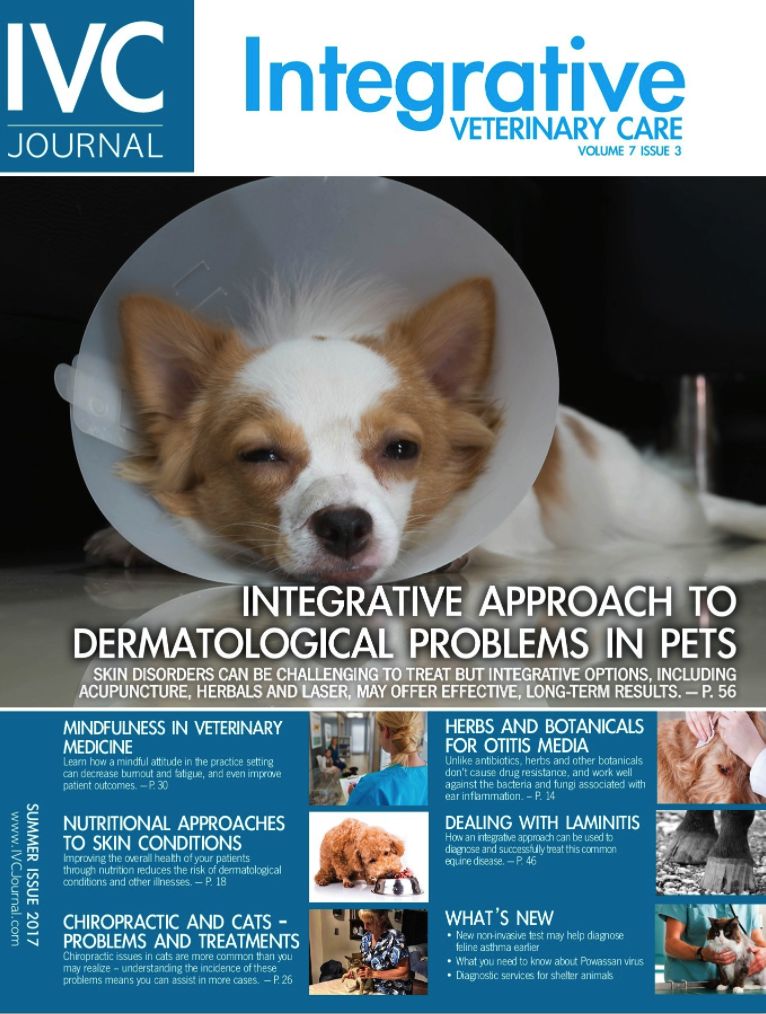 Integrative Veterinary Care Journal - One Year Subscription