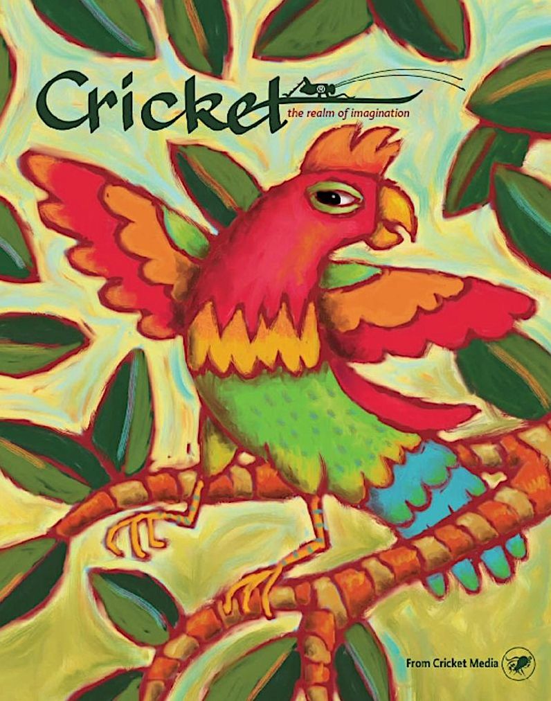 Cricket - One Year Subscription
