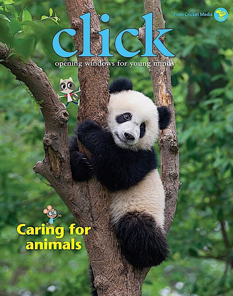 Click - One Year Subscription
