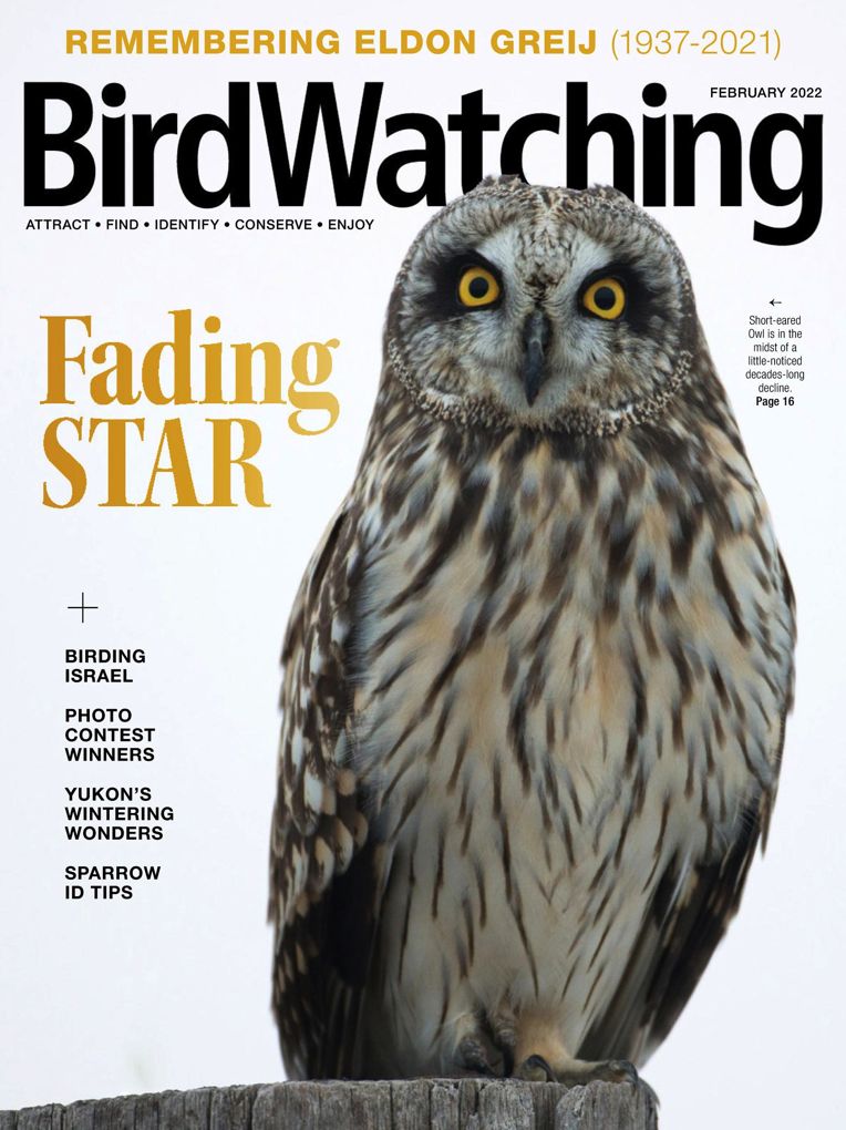 BirdWatching Magazine - One Year Subscription