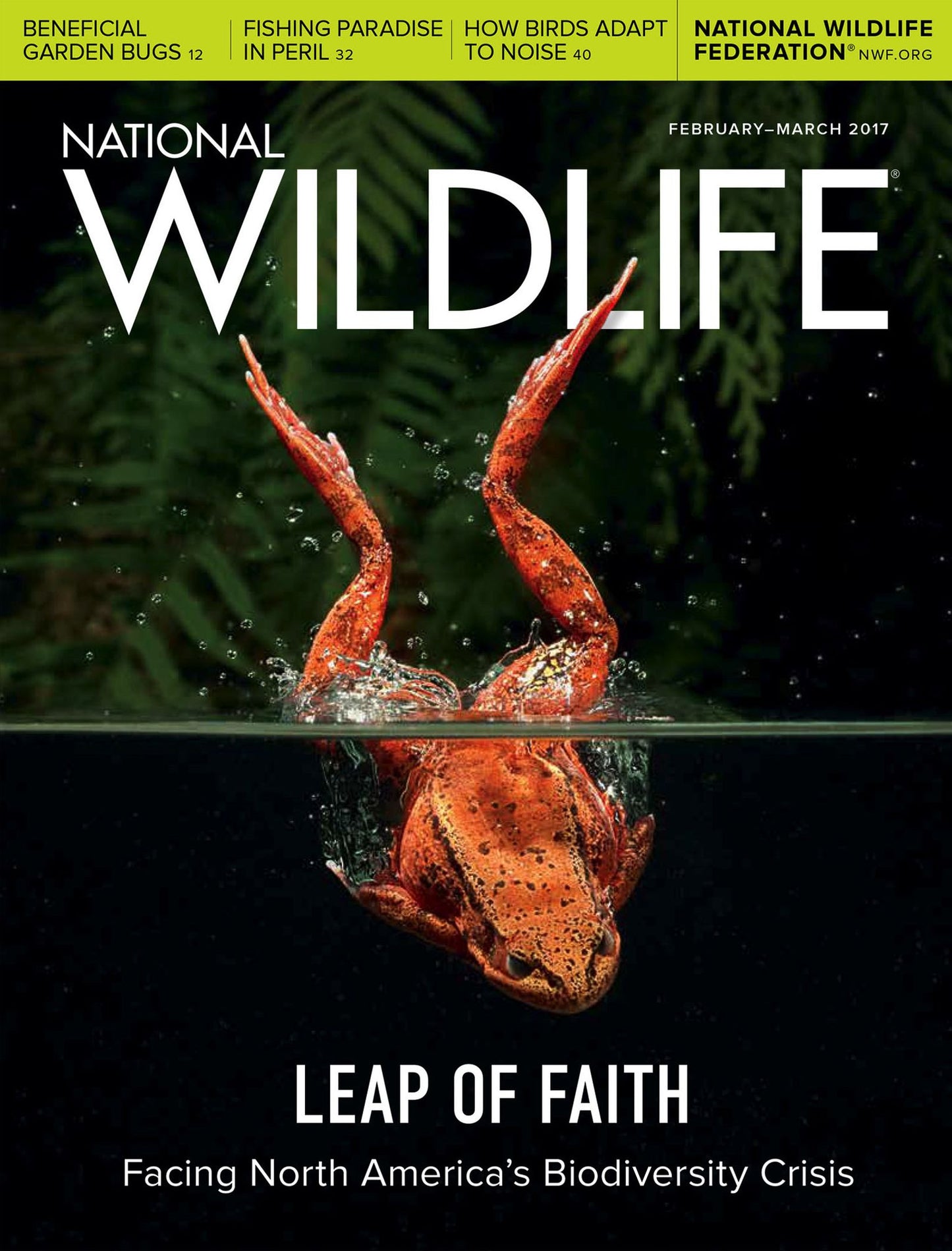 National Wildlife - One Year Subscription