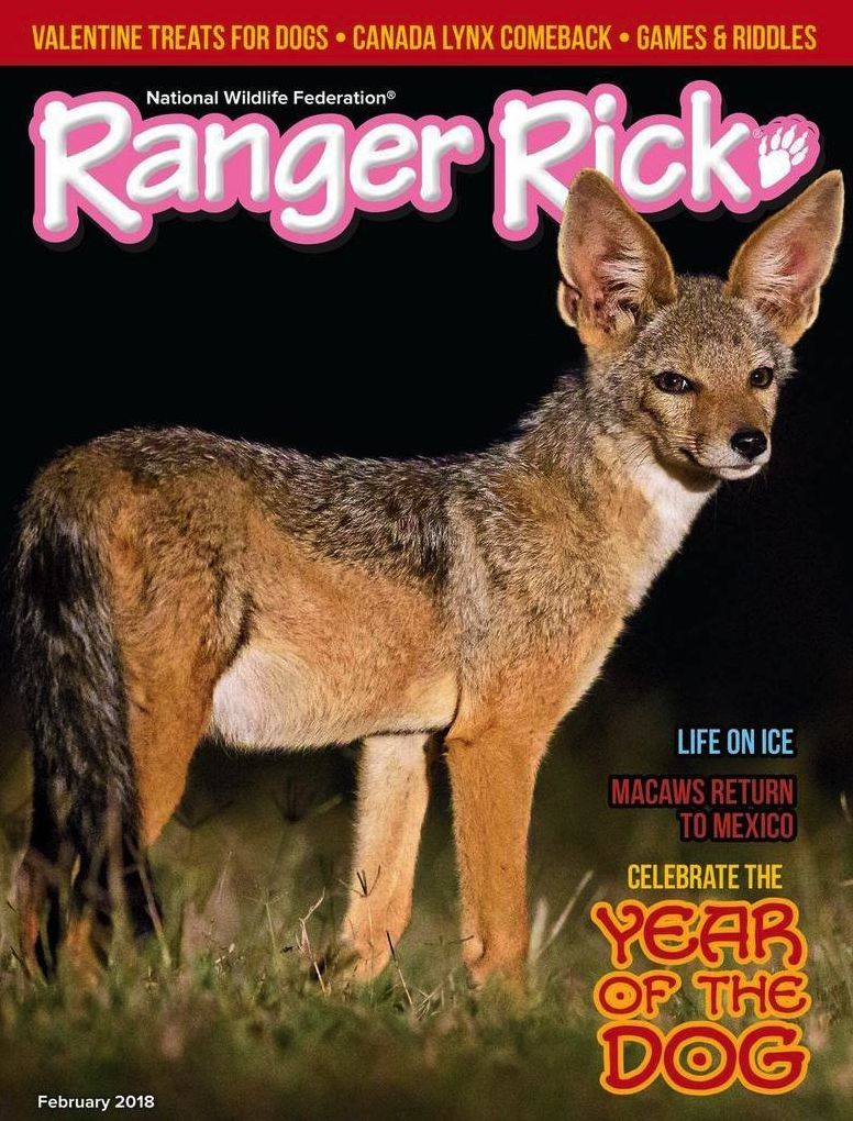 Ranger Rick - One Year Subscription
