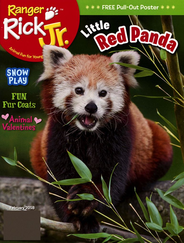 Ranger Rick Jr. - One Year Subscription
