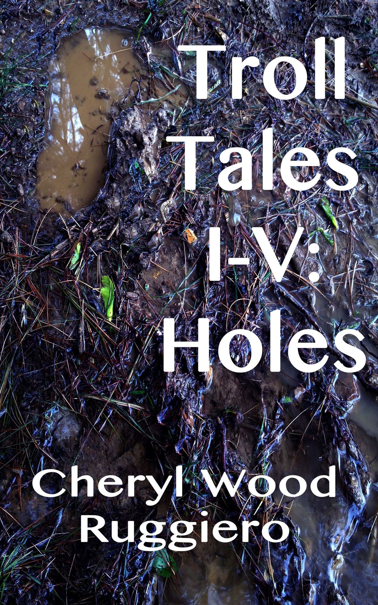 Troll Tales I-V: Holes