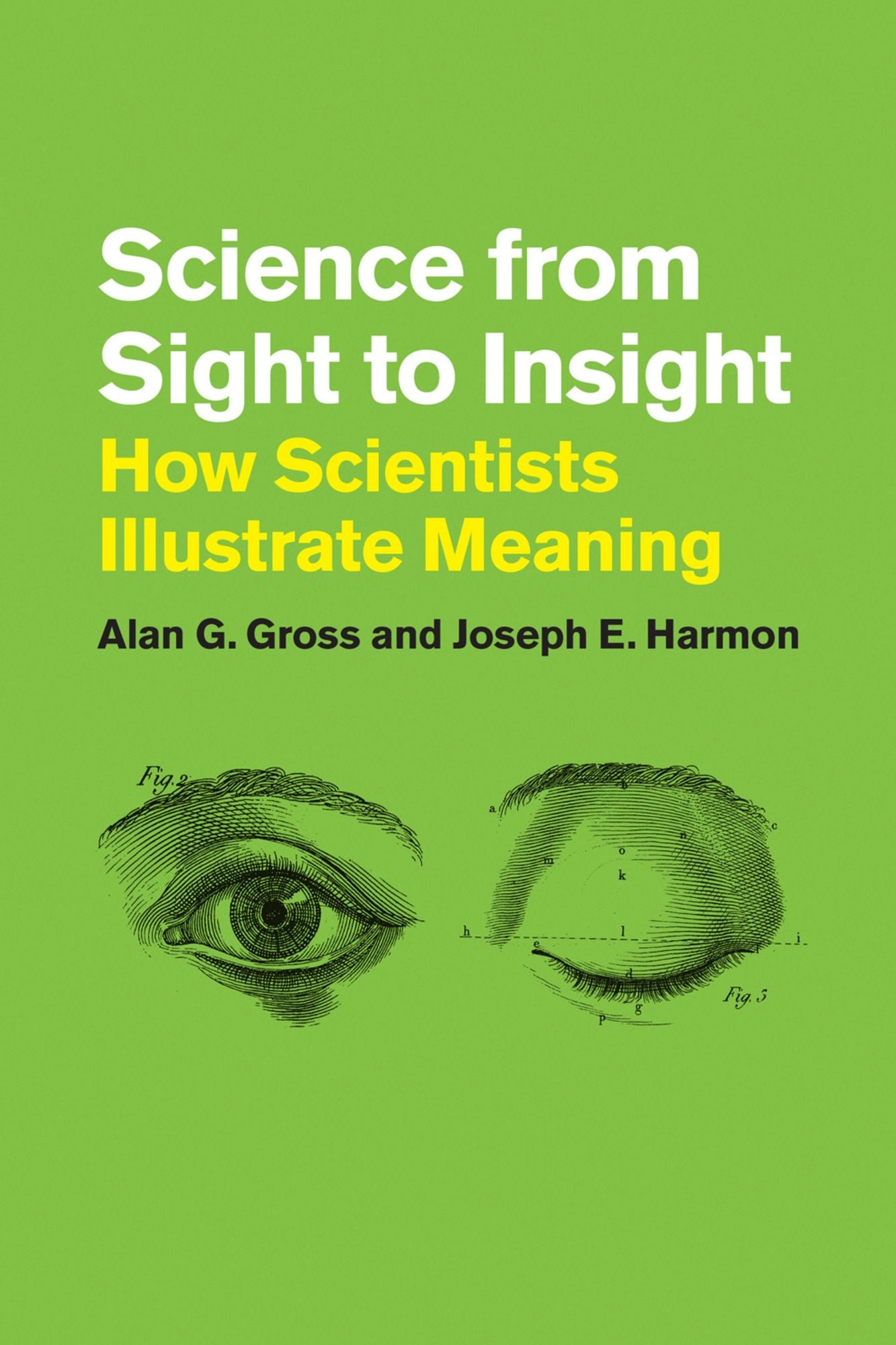 Science from Sight to Insight: How Scientists Illustrate Meaning