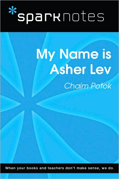 My Name Is Asher Lev (SparkNotes Literature Guide Series)