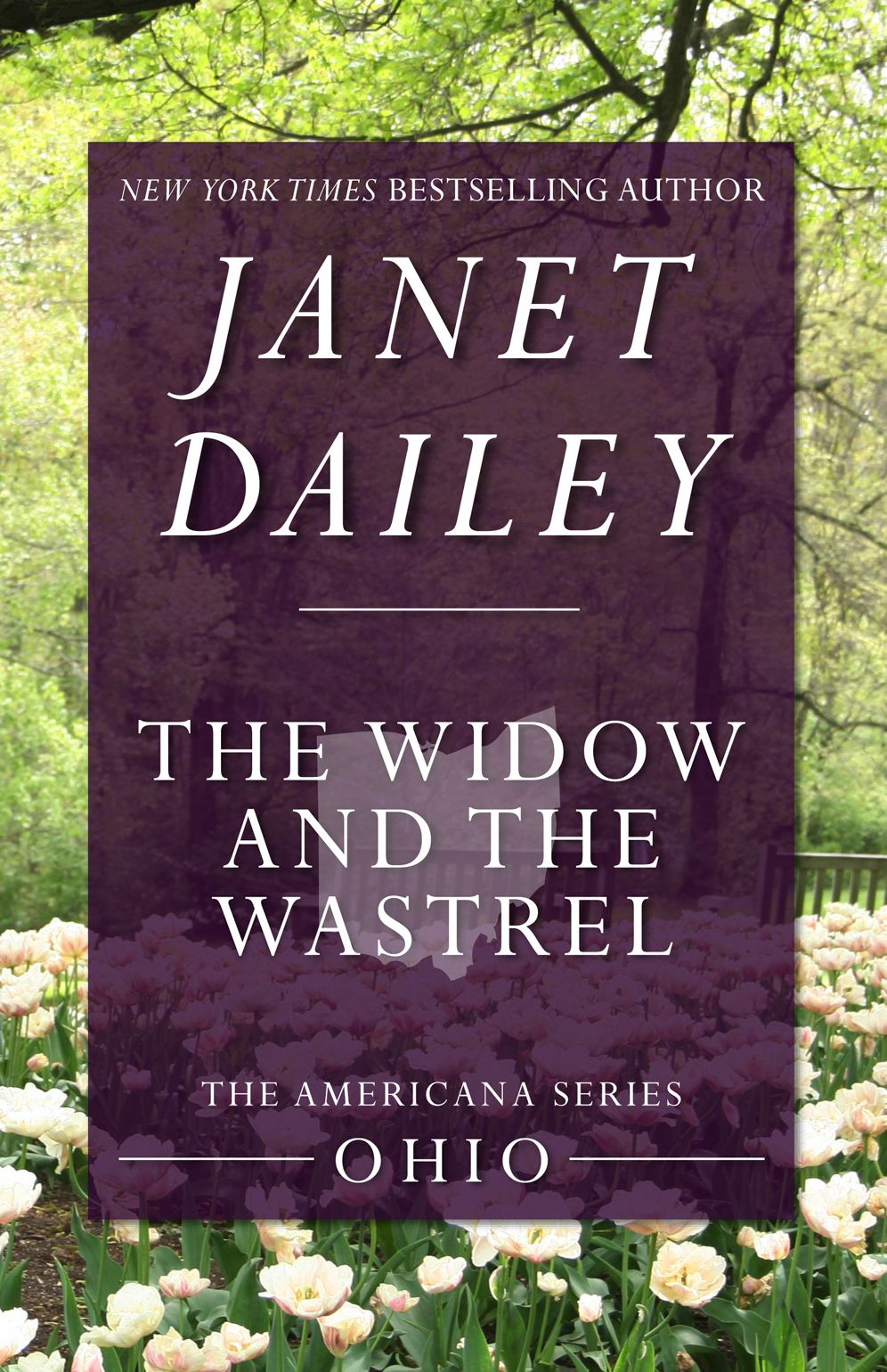 The Widow and the Wastrel: Ohio (Americana Series)