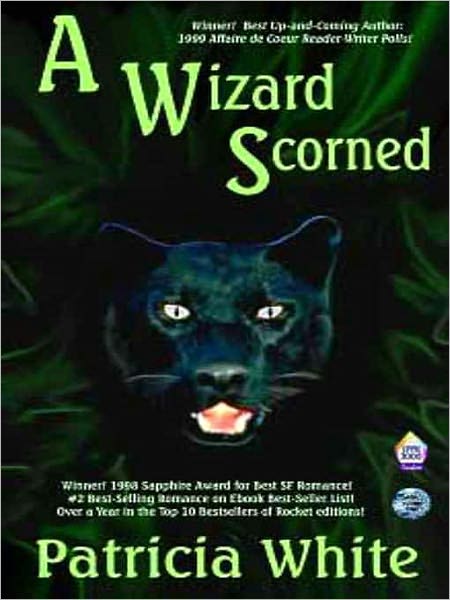 A Wizard Scorned