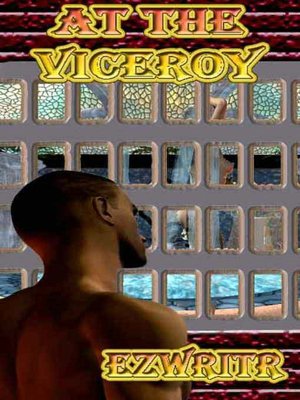 At the Viceroy
