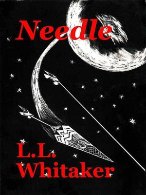 Needle