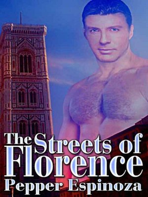The Streets of Florence