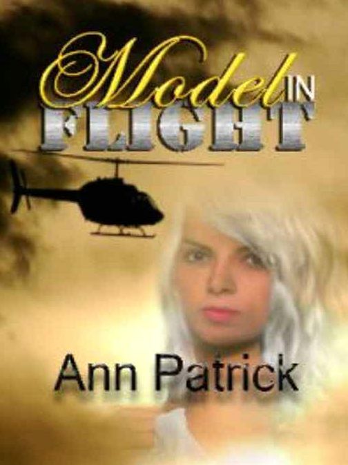 Model In Flight