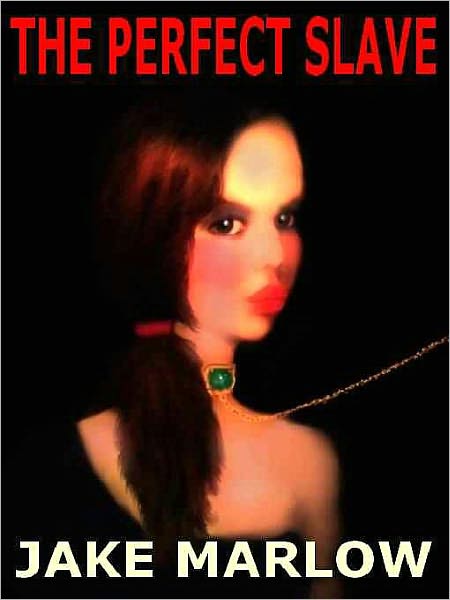 The Perfect Slave