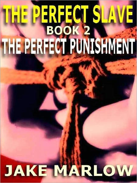 The Perfect Punishment [The Perfect Slave Trilogy #2]