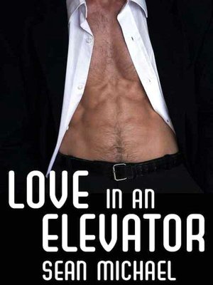 Love in an Elevator