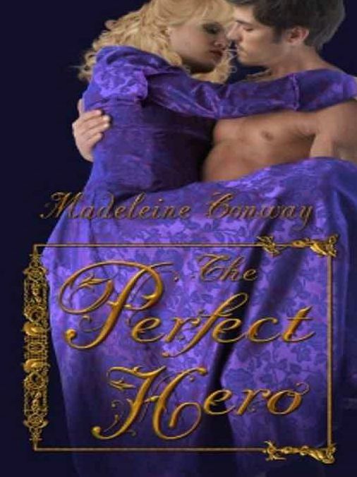 The Perfect Hero