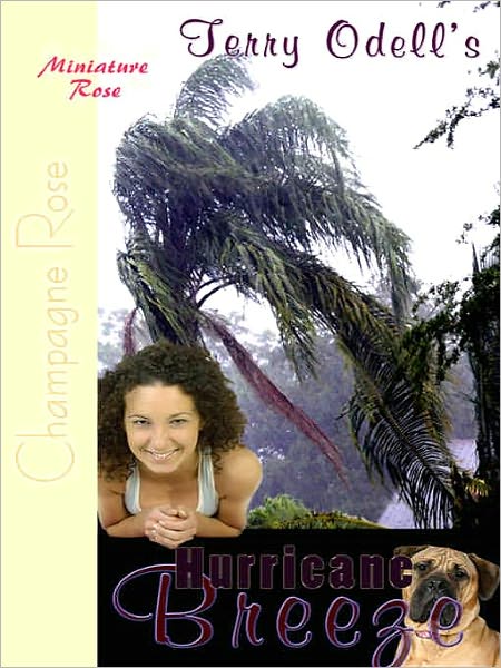 Hurricane Breeze