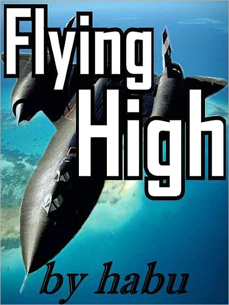 Flying High