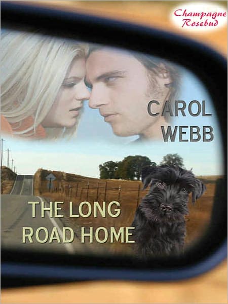 The Long Road Home