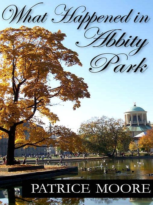 What Happened in Abbity Park