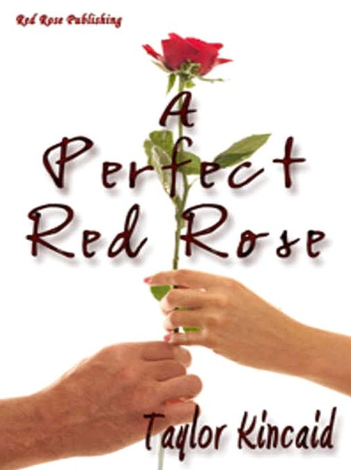 A Perfect Red Rose