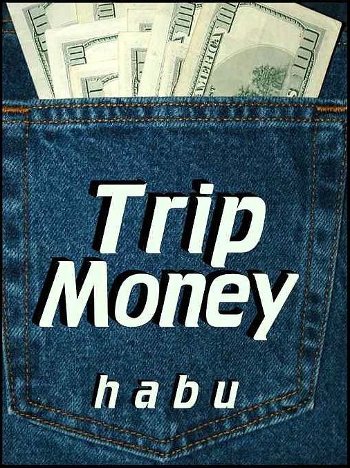 Trip Money