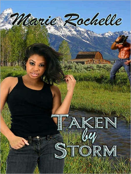 Taken by Storm