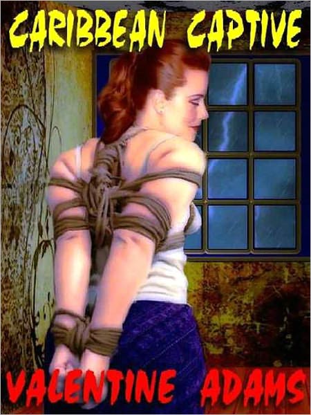 Caribbean Captive: A B&D Novelette