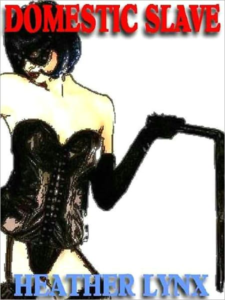Domestic Slave: A Novel of Woman Dominant