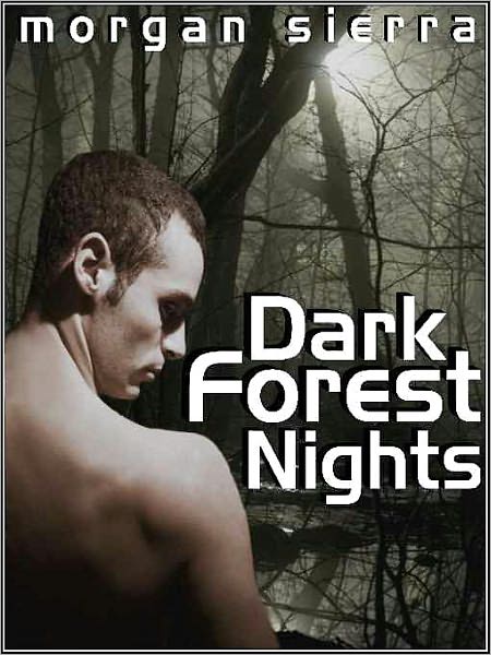 Dark Forest Nights