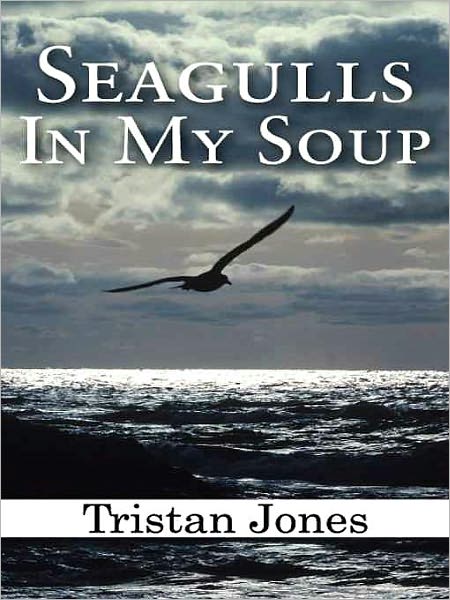 Seagulls In My Soup