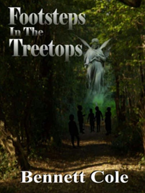 Footsteps In The Treetops