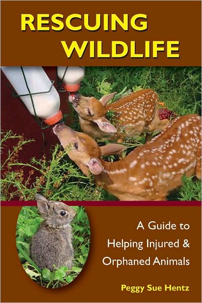 Rescuing Wildlife: A Guide to Helping Injured and Orphaned Animals