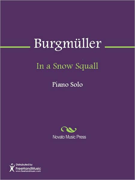 In a Snow Squall