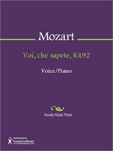 Voi, che sapete, K492