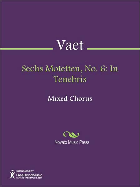 Sechs Motetten, No. 6: In Tenebris