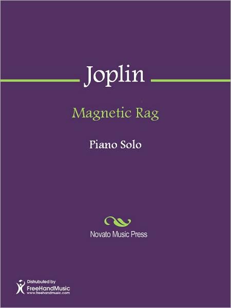 Magnetic Rag