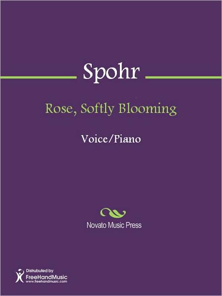 Rose, Softly Blooming