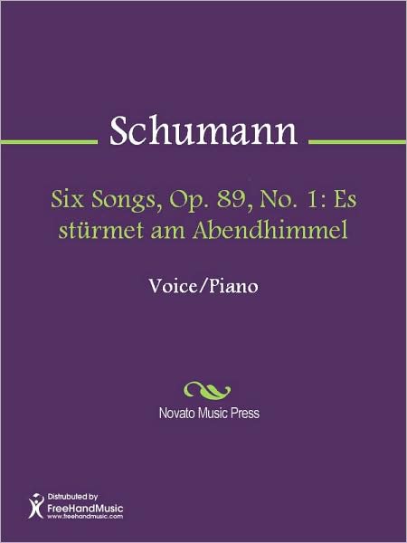 Six Songs, Op. 89, No. 1: Es sturmet am Abendhimmel
