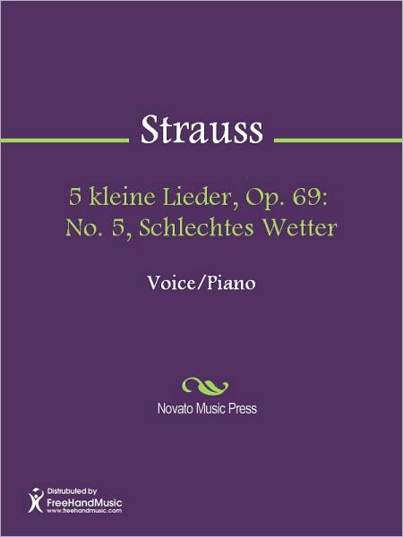 5 kleine Lieder, Op. 69: No. 5, Schlechtes Wetter