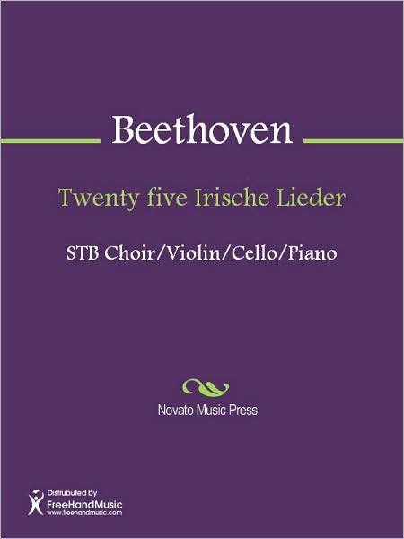 Twenty five Irische Lieder
