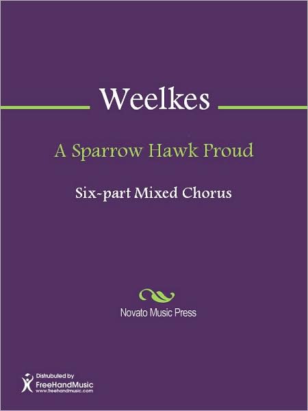A Sparrow Hawk Proud