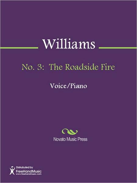 No. 3: The Roadside Fire