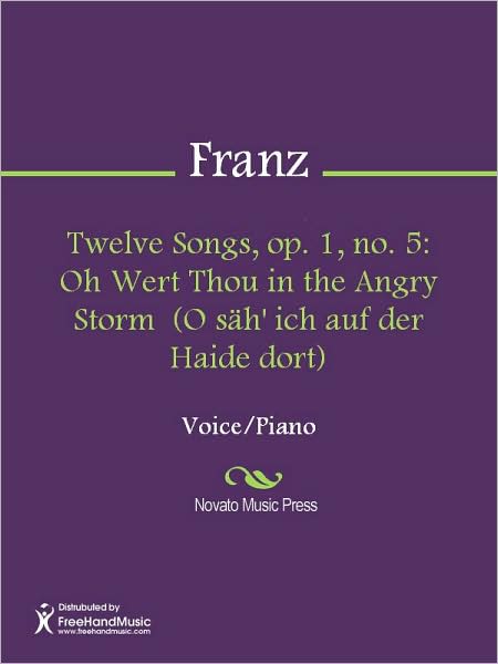 Twelve Songs, op. 1, no. 5: Oh Wert Thou in the Angry Storm (O sah' ich auf der Haide dort)