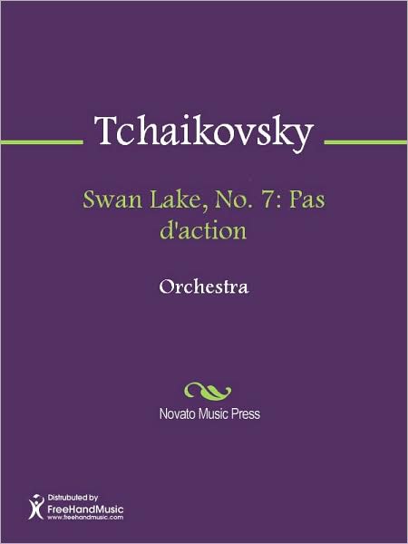 Swan Lake, No. 7: Pas d'action