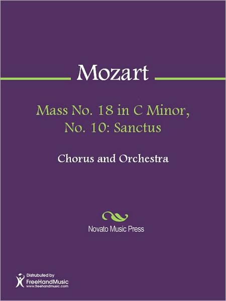 Mass No. 18 in C Minor, No. 10: Sanctus