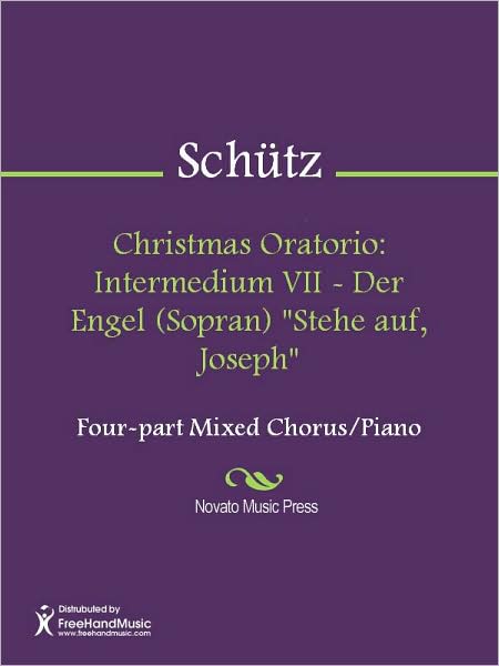 Christmas Oratorio: Intermedium VII - Der Engel (Sopran) "Stehe auf, Joseph"