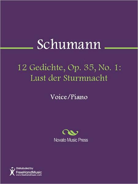12 Gedichte, Op. 35, No. 1: Lust der Sturmnacht