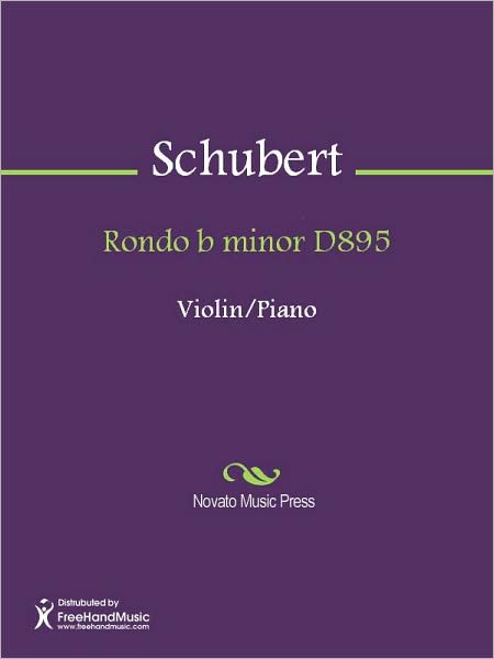Rondo b minor D895