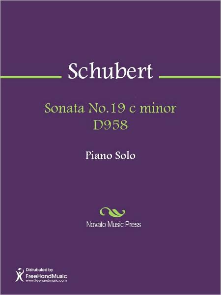 Sonata No.19 c minor D958